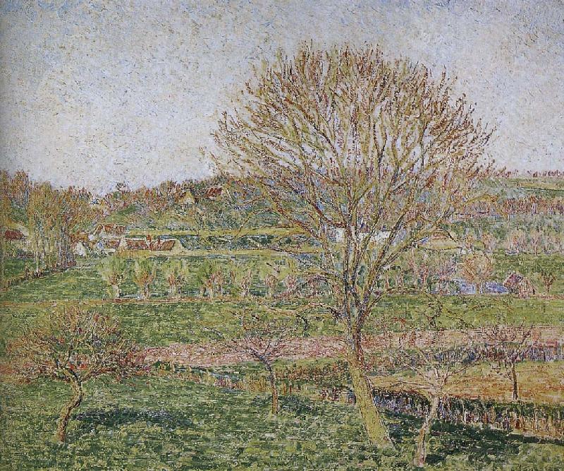 Camille Pissarro Peach France oil painting art